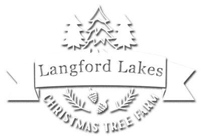 Langford Lakes Christmas Tree Farm Ticketing System